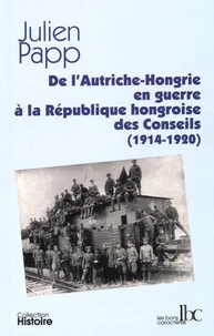 De l'Autriche-Hongrie en guerre à la République hongroise des Conseils (1914-1920)