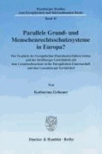 Parallele Grund- und Menschenrechtsschutzsysteme in Europa?