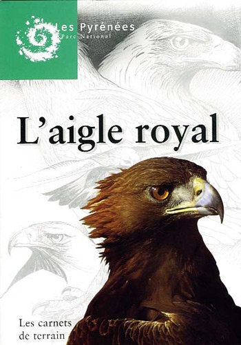  Parc national des Pyrénées - L'aigle royal.