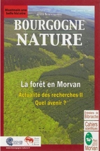  Parc Naturel Régional Morvan - La fôret en Morvan.