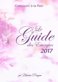 Le guide des énergies