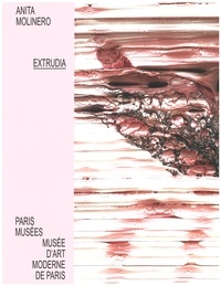  Paris Musées - Anita Molinero - Extrudia.