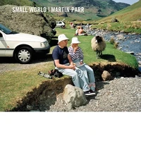 Small World - New Revised Edition