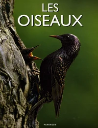 Les oiseaux