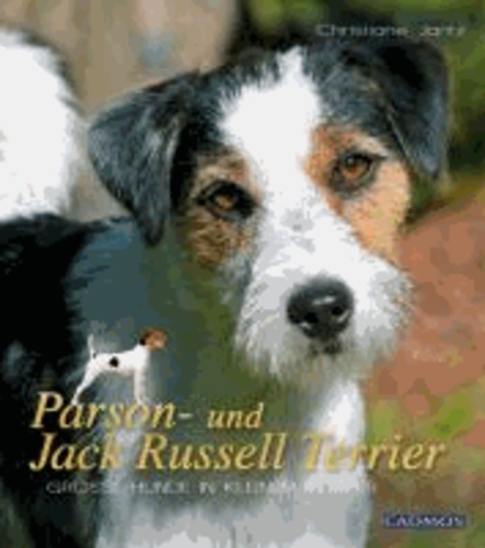 Parson- und Jack Russel Terrier - Große Hunde im kleinen Körper.