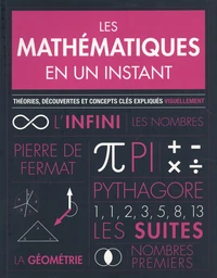 Les mathématiques en un instant