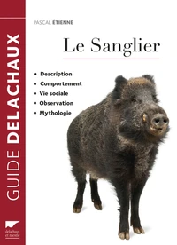 Le sanglier