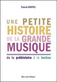 Pascal Amoyel - Une petite histoire de la grande musique - De la préhistoire à la techno.