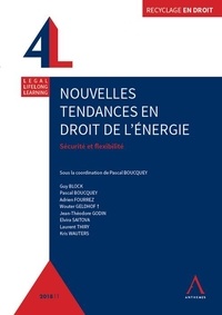 Rhonealpesinfo.fr Nouvelles tendances en droit de l'énergie - Sécurité et flexibilité Image