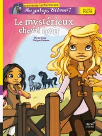 Le mystérieux cheval noir