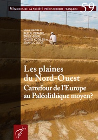 Pascal Depaepe et Emilie Goval - Les plaines du Nord-Ouest, carrefour de l'Europe au Paléolithique moyen ?.