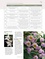 Encyclopédie des orchidées tropicales. 1200 espèces, plus de 1000 photographies