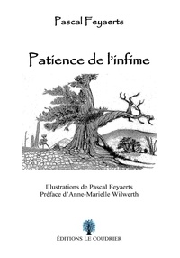 Pascal Feyaerts - Patience de l’infime.