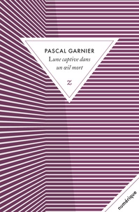 Pascal Garnier - Lune captive dans un oeil mort.