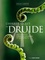 L'herbier secret du druide. Des plantes pour les hommes et les esprits