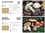 Guide des champignons. Le guide simple et visuel pour identifier plus de 200 champignons