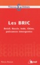 Pascal Rigaud - Les BRIC - Brésil, Russie, Inde, Chine, les puissances économiques du XXIe siècle.
