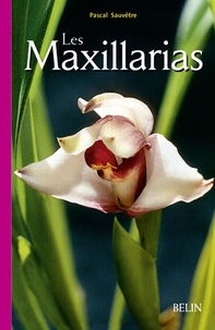 Pascal Sauvêtre - Les Maxillarias.