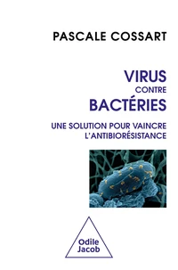 Virus contre bactéries : vaincre l'antibiorésistance