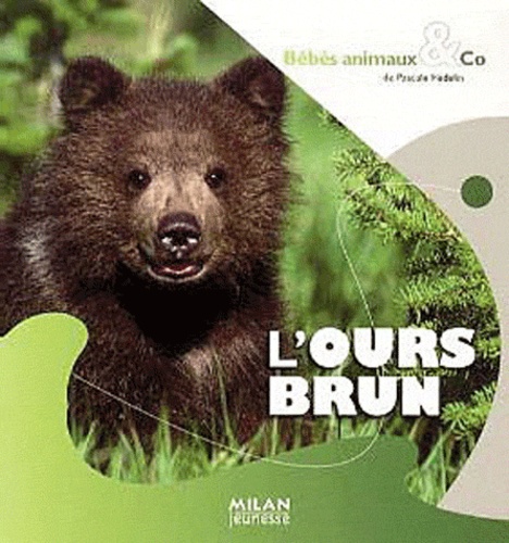 Pascale Hédelin - L'ours brun.