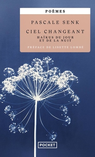 Ciel changeant. Haïkus du jour et de la nuit