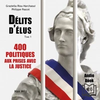 Délits d'élus