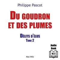 Délits d'élus