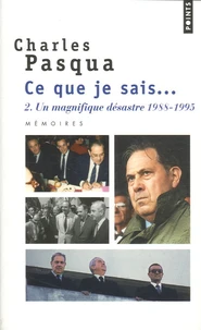 Un magnifique désastre 1988-1995