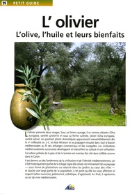 Pasquale Medori - L'olivier - L'olive, l'huile et leurs bienfaits.