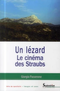 Un lézard