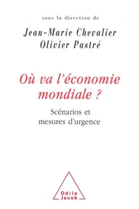 Ou Va L'Economie Mondiale ? Scenarios Et Mesures D'Urgence