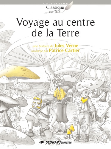 Patrice Cartier et Jules Verne - Voyage au centre de la terre - Lot de 25 romans avec un fichier.
