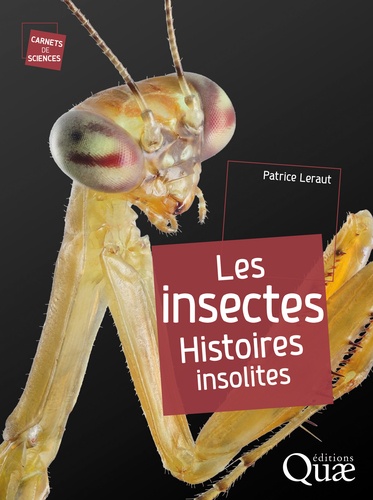 Les insectes. Histoires insolites