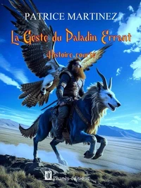 La geste du paladin errant