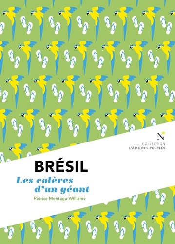 Brésil. Les colères d'un géant 2e édition