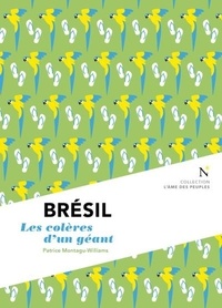 Patrice Montagu-Williams - Brésil - Les colères d'un géant.