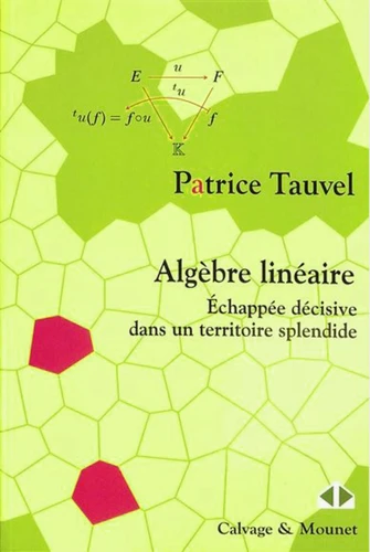 Livre : Algèbre linéaire : échappée décisive dans un territoire splendide, de Patrice Tauvel