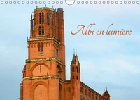Albi en lumière (Calendrier mural 2017 DIN A4 horizontal)