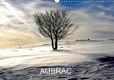 AUBRAC (Calendrier mural 2017 DIN A3 horizontal). Plateau du sud du Massif central (Calendrier mensuel, 14 Pages )