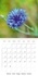 Pigments (Calendrier mural 2017 300 × 300 mm Square). Macro de fleurs (Calendrier mensuel, 14 Pages )