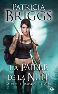 La faille de la nuit
