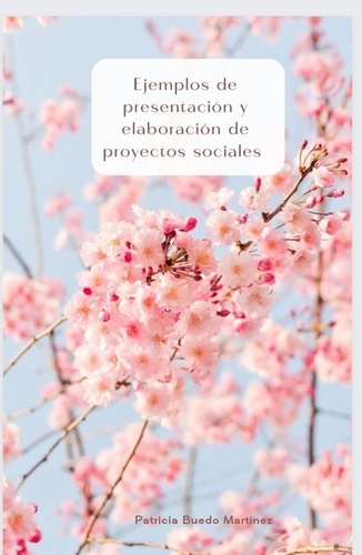  PATRICIA BUEDO MARTINEZ - Ejemplos de presentación y elaboración de proyectos sociales - Educación, #2.