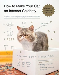 How to make your cat an Internet Celebrity /anglais