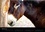 CALVENDO Animaux  DANSE AVEC LES ÂNES (Calendrier mural 2020 DIN A3 horizontal). Les ânes d'Espanès de la région Midi-Pyrénées (Calendrier mensuel, 14 Pages )