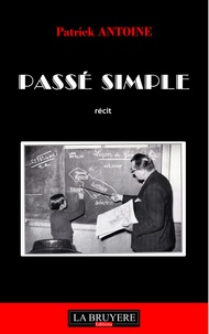 Patrick Antoine - Passé simple.