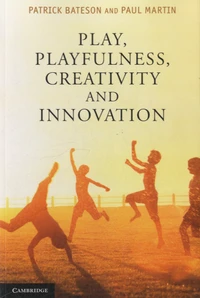 Play, Playfulness, Creativity and Innovation