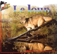 Le Loup Suivi De L'Ane Et Le Loup