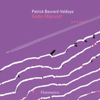 Patrick Beurard-Valdoye - Gadjo-Migrandt.