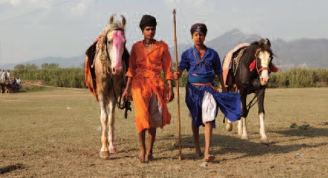 Chevaux & traditions équestres en Asie