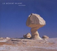 Patrick Darphin - Le désert blanc.